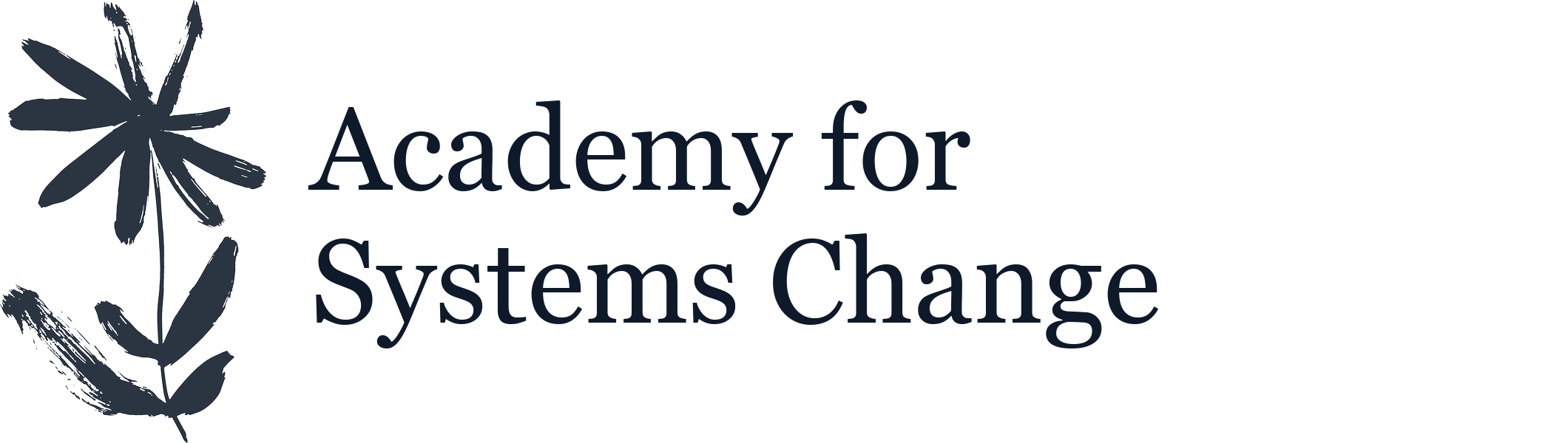 Academy for Systems Change